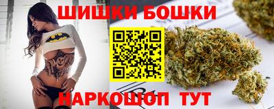 гидропоника Будённовск