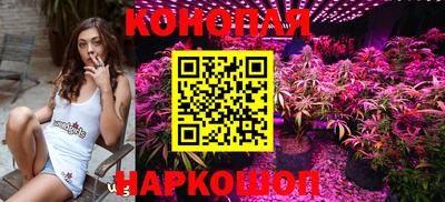 гидропоника Будённовск